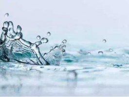 水质检测